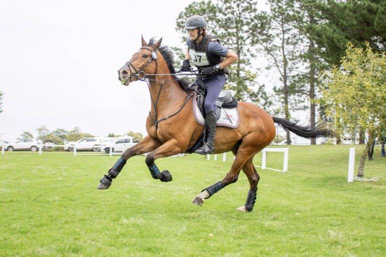 PONY CLUB